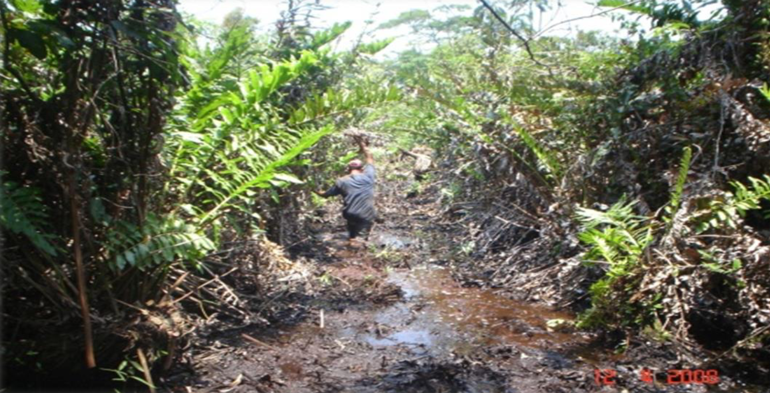 Situación del terreno en 2008